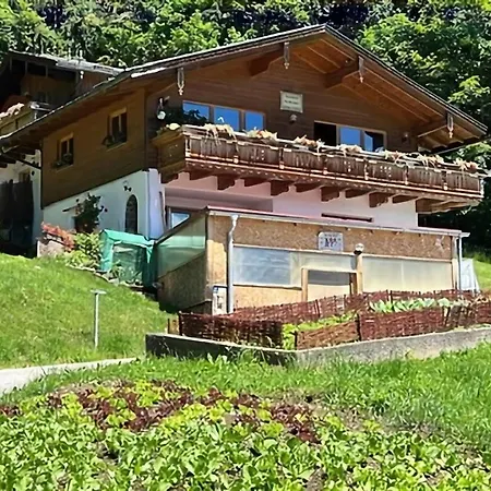 Hundepension Almfrieden Reit im Winkl