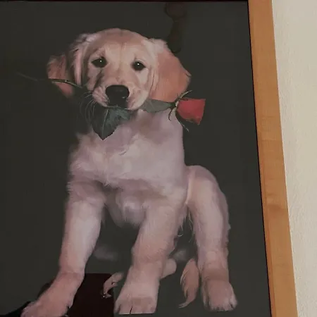 Hundepension Almfrieden Apartmán Reit im Winkl
